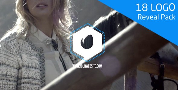 Videohive 18 Logo Reveal Pack Logo Stings template preview