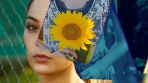 Videohive Brush Video Display Openers template preview