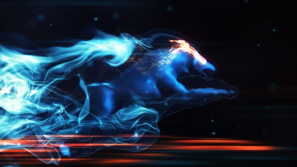 Magic Wolf Reveal Video Displays template preview