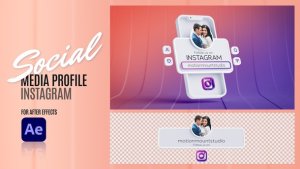 Videohive Social Media Profile - Instagram 48268895 Elements template preview