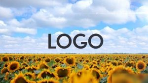 Videohive Sunflower Opener Openers template preview