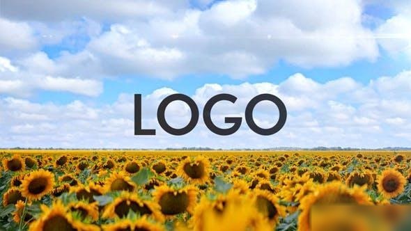 Videohive Sunflower Opener Openers template preview