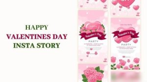 Videohive Happy Valentine's Day Instagram Story Elements template preview