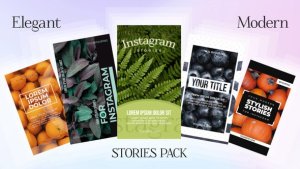 Videohive Simple Stories Elements template preview