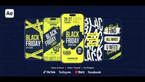 Videohive Black Friday Instagram Stories 60587680 Product Promo template preview