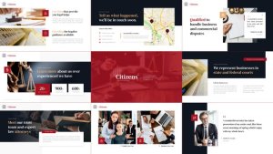Videohive Citizen Law & Politics Video Display After Effect Template Elements template preview