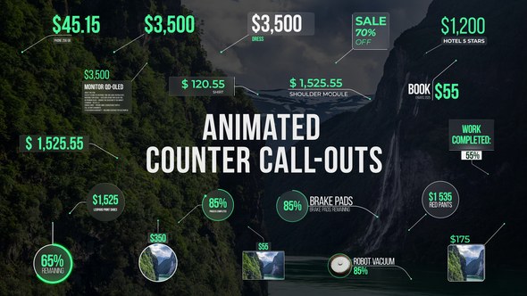 Videohive Animated Counter Call-Outs Infographics template preview