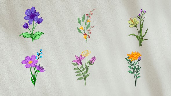 Videohive Flower Animation Elements Elements template preview