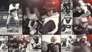 Videohive Sport Promo / History Collage / Slideshow Openers template preview