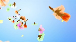 Videohive Flowers and Petals Logo Logo Stings template preview