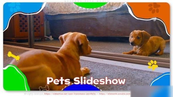 Videohive Welcome Pets World