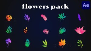 Videohive Colorful Flowers Pack for After Effects Elements template preview