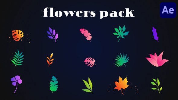 Videohive Colorful Flowers Pack for After Effects Elements template preview