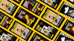 Videohive Wildwood Fashion Instagram Stories Product Promo template preview