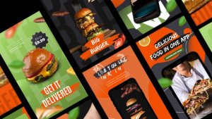 Videohive Delivery Food Stories App Promo Product Promo template preview