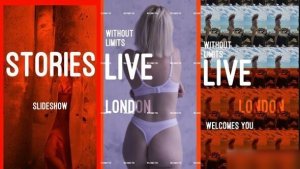 Videohive Instagram Story Slideshow Openers template preview