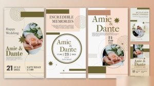 Videohive Wedding Invitation Instagram Stories Template | AE 44792764 Openers template preview