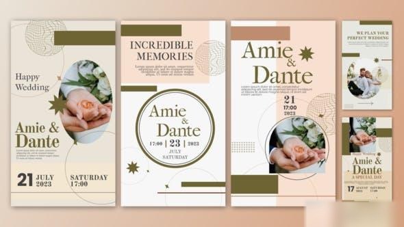 Videohive Wedding Invitation Instagram Stories Template | AE 44792764 Openers template preview