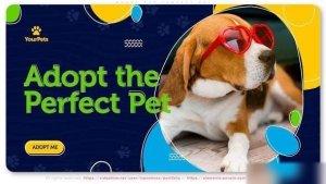 Videohive Adopt the Perfect Pet. Be a Hero! Openers template preview