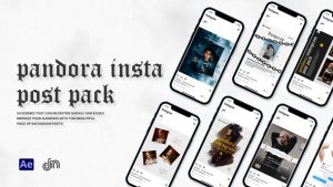 Videohive Pandora Instagram Post Product Promo template preview