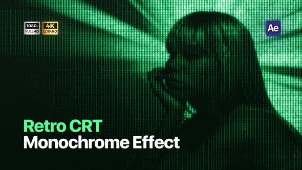 Videohive Monochrome Monitor CRT Effect Elements template preview