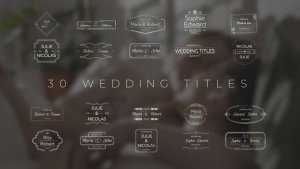 Videohive Wedding Titles 36969031 Titles template preview