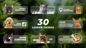 Videohive Lower Thirds with Photo or Video Elements template preview