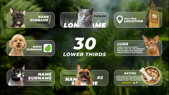 Videohive Lower Thirds with Photo or Video Elements template preview
