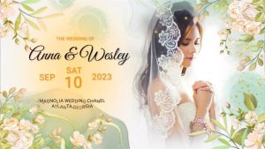 Videohive Ink Wedding Slideshow 48671483 Video Displays template preview