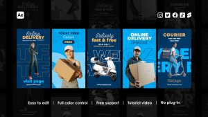 Videohive Delivery Instagram Reels Product Promo template preview