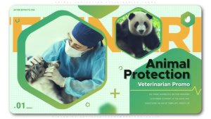 Videohive Animal Protection Veterinarian Promo Openers template preview