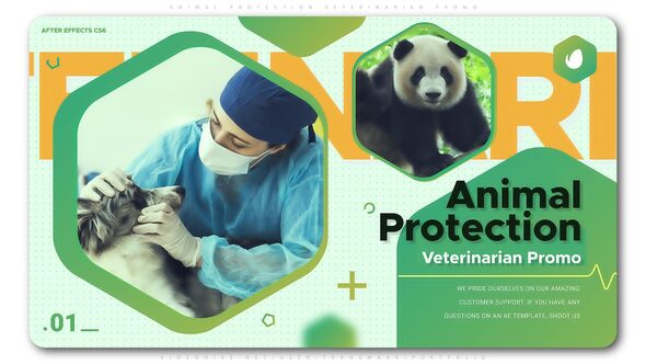 Videohive Animal Protection Veterinarian Promo Openers template preview