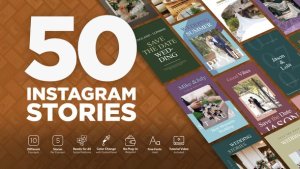 Videohive Romantic Wedding Instagram Stories Product Promo template preview