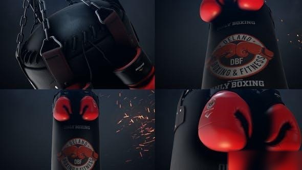 Videohive Boxing Gloves Logo Reveal Openers template preview