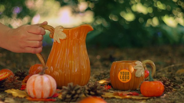 Videohive Autumn Tea Logo Opener Product Promo template preview