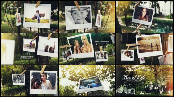 Videohive Tree of Life Photo Gallery Video Displays template preview