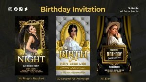 Videohive Luxury Birthday Instagram Reels Openers template preview