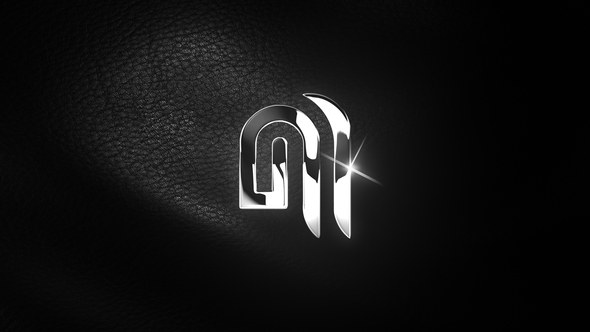 Videohive Elegant Leather Logo Logo Stings template preview