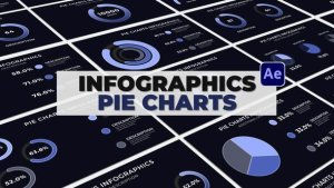 Videohive Infographics Pie Charts 51993452 Infographics template preview