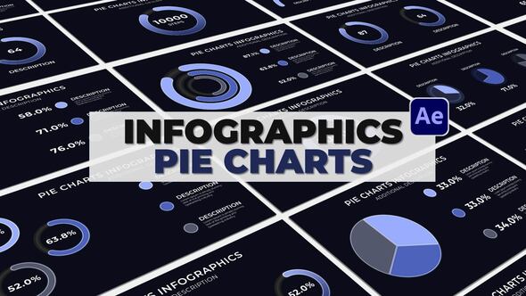 Videohive Infographics Pie Charts 51993452 Infographics template preview