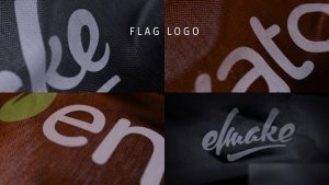 Videohive Flag Logo Openers template preview