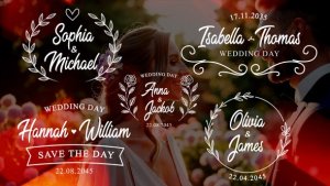 Videohive Wedding Titles Pack 59005413 Titles template preview