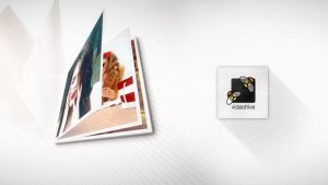 Videohive Photo Logo Reveal 19351564 Logo Stings template preview