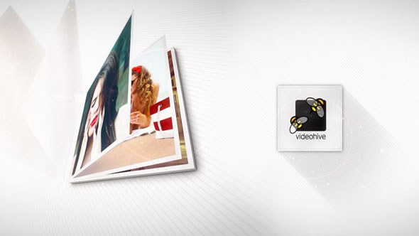 Videohive Photo Logo Reveal 19351564 Logo Stings template preview