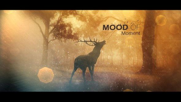 Videohive Mood Of Moments Parallax Opener Openers template preview
