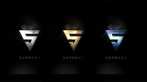 Videohive SUPREME Logo Stings template preview