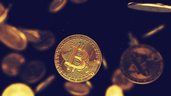 Videohive Bitcoin Logo Reveal 51507162 Logo Stings template preview