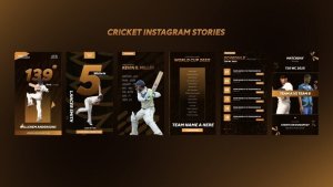 Videohive Cricket Instagram Stories Video Displays template preview