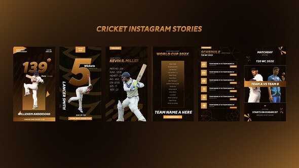 Videohive Cricket Instagram Stories Video Displays template preview
