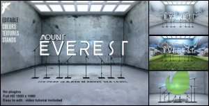 Videohive Logo in a Room Logo Stings template preview